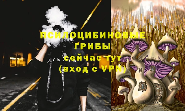 герыч Алексин