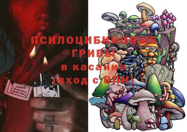 индика Алексеевка