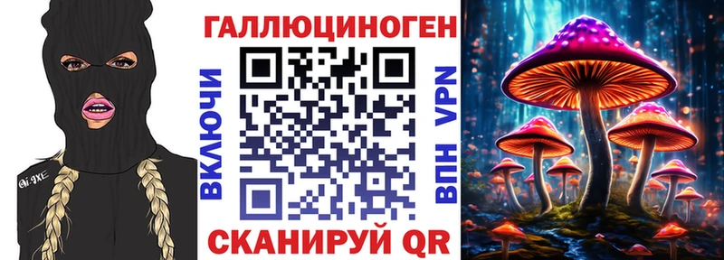 Галлюциногенные грибы Psilocybe  Урай 